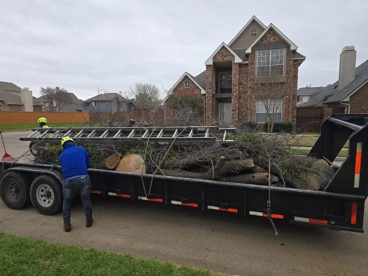 Expert Tree Fertilization with proper safety equipment in Breezy Point